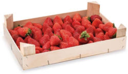 Erdbeeren