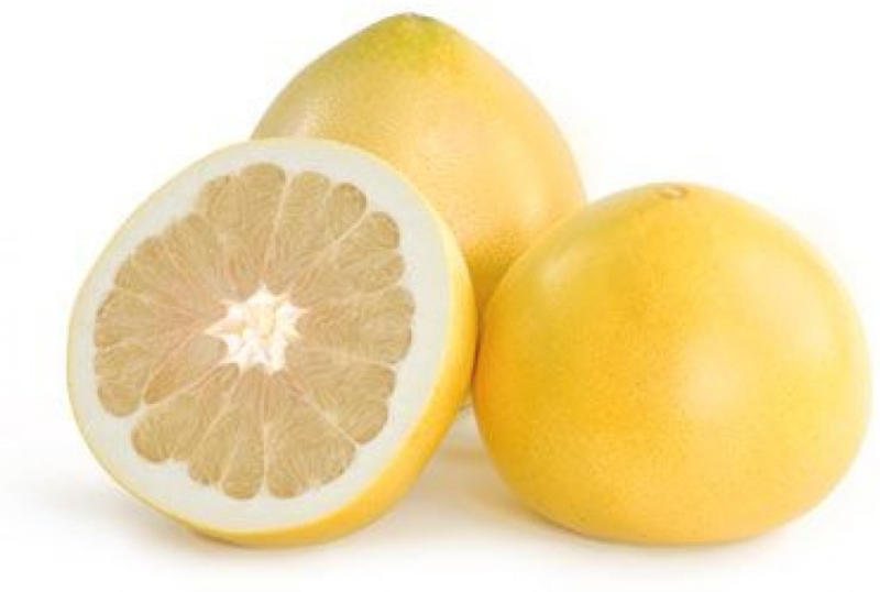 HoneyPomelo ️ Online von HOFER wogibtswas.at