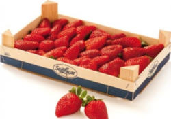 SanLucar Fruchtige Premium Erdbeeren