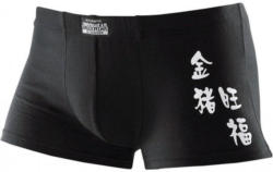 Hipster, Authentic Underwear (4 Stck.)