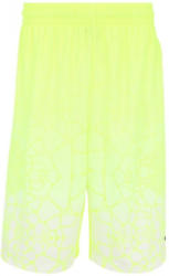 NIKE LeBron Tamed AOP Basketballshort Herren
