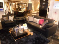 Sofa + Sessel Modules 8100