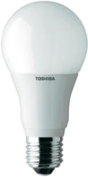 Toshiba TOSHIBA RETROFIT LED