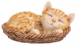 Dekokatze