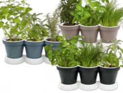 FLORABEST® 3er-Kräutertopf