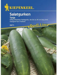 Kiepenkerl Freiland-Salatgurke Tanja Profi-Line