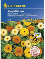 Kiepenkerl Ringelblume Fiesta Gitana Profi-Line
