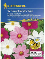 Kiepenkerl Schmuckkörbchen Sonata, Mischung Profi-Line