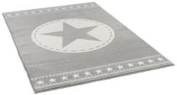 Teppich Kolibri ca. 160 x 230 cm grau