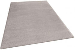 Teppich Sienna ca. 120 x 170 cm grau