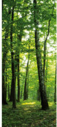 Türfototapete Wald
