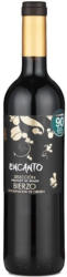 Encanto Seleccion Bierzo D.O. 2013