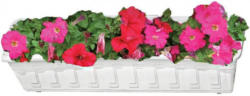 Blumenkasten Garden ca. 80 cm weiß