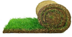 Plantiflor Rollrasen Premium-Qualität