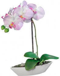 Orchideenarrangement lavender