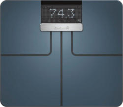 Garmin Index Smart Scale Fitnesswaage