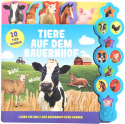 Kinder Soundbuch mit zehn Geräuschen