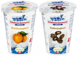 ERLEBNIS SENNEREI ZILLERTAL Fruchtjoghurt