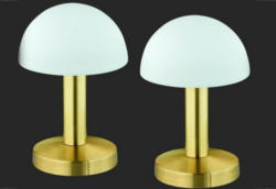 SET: Tischlampen-Set, 2 Stück, messingfarben-weiß, Trio