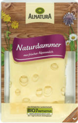 Naturdammer