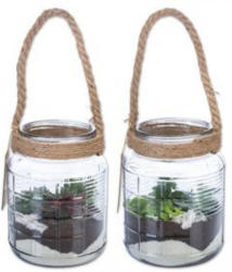 Mini Garten Maritim Im Glas Nur 7 99 Lidl Osterreich Angebot Wogibtswas At