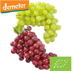 DEMETER Bio Italien Tafeltrauben hell oder hell kernlos, Kennzeichung siehe Etikett, jede 300-g-Schale