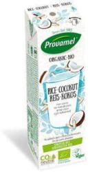 Reis-Kokos Drink