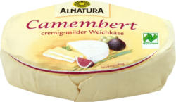 Camembert