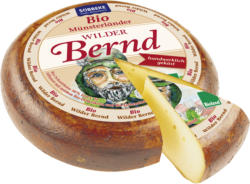 Münsterländer Wilder Bernd