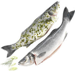 Wolfsbarsch Cromaris natur oder grillfertig mariniert, aus Aquakultur in Kroatien, je 100 g