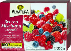 Beerenmischung (TK)