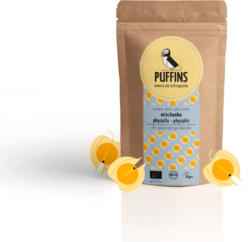 Crunchy Physalis