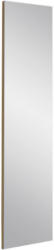 Spiegel 42/170/3 cm