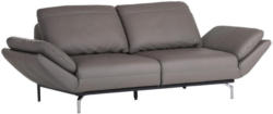 Sofa In Leder Grau