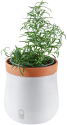Pflanztopf 15,6/16,5 cm
