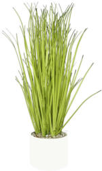Dekogras