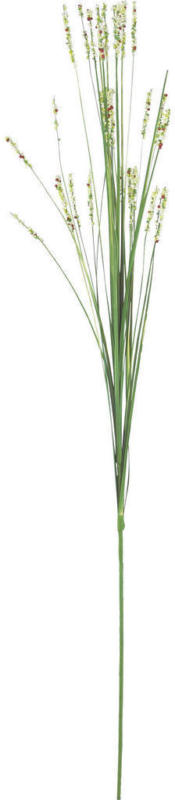 Dekogras