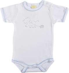 Babybody