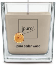 Duftkerze Cedar Wood