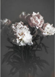 Bild 50/70 cm