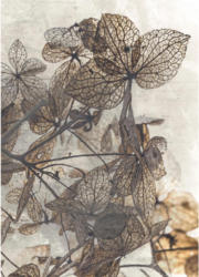 Bild 50/70 Cm