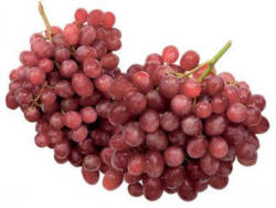 Trauben rot