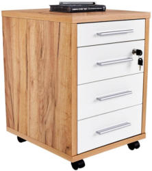 Rollcontainer Profi