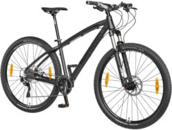 LTD XT
