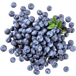 Polen Heidelbeeren, Kennzeichnung siehe Etikett, jede 125-g-Schale