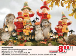 Herbst-Figuren