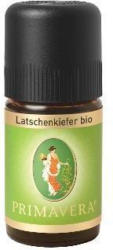 Latschenkiefer Bio