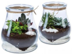 Mini Garten Maritim