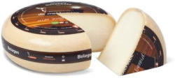 Mekkerstee Ziegengouda jung