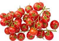 Pomodori ciliegia ramati